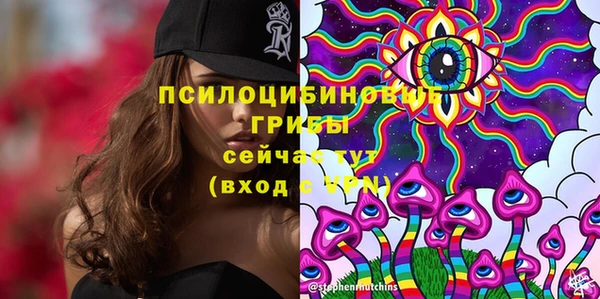 амфетамин Алексеевка